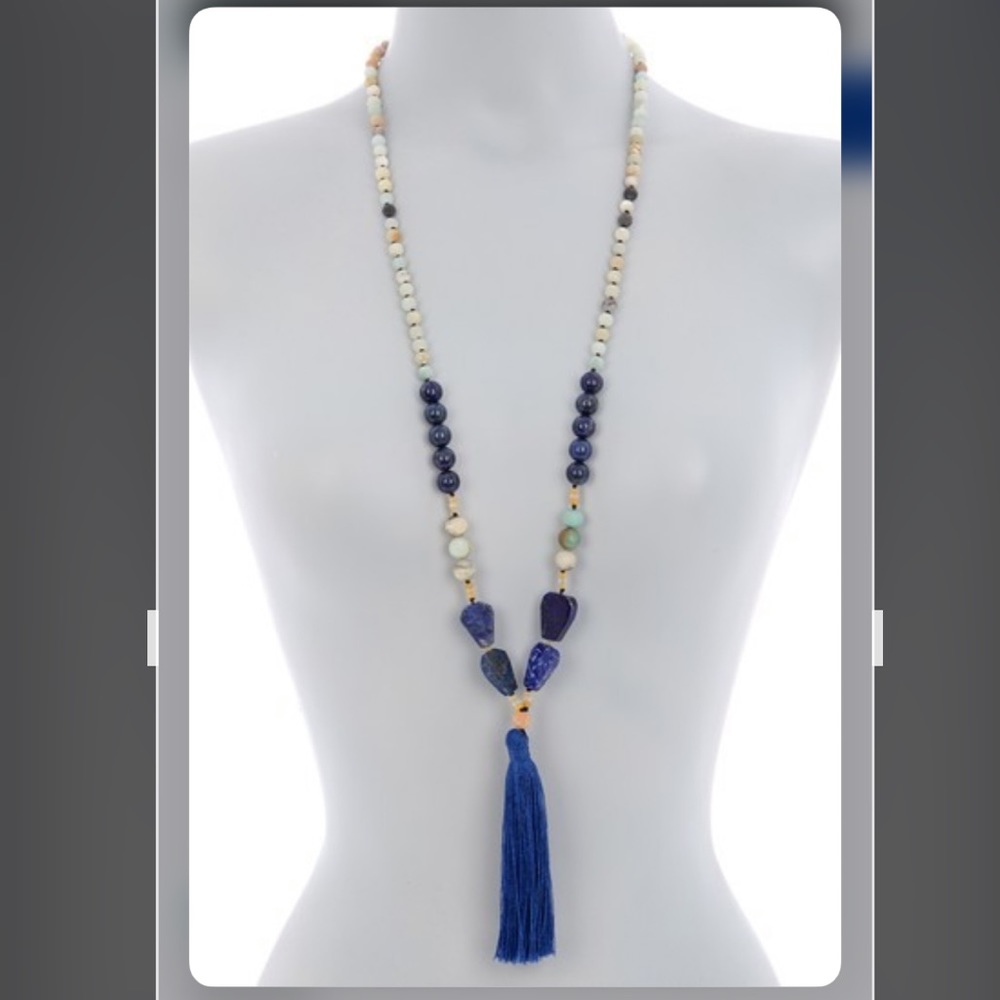 ADORNIA Amazonite BlueLapis Beaded Tassel Necklace